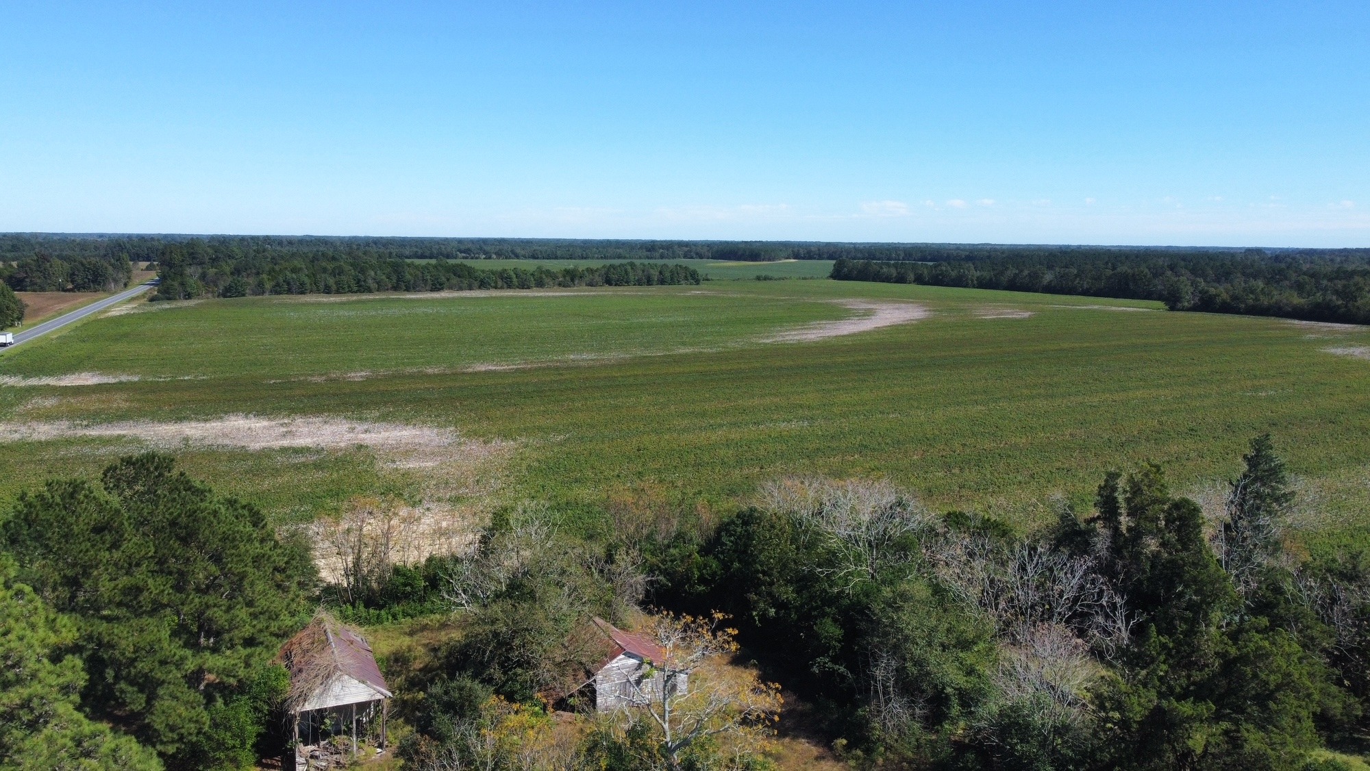 Maxton Farmland 